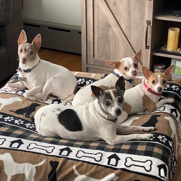 Meet your Posher, Alyssa - Picture 4 of 6